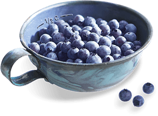 Blueberries in a can