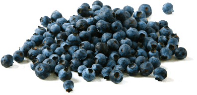 Pile of Blueberries