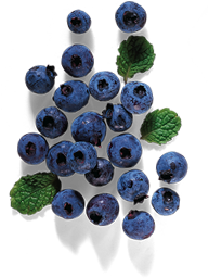 wild berries