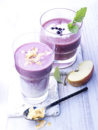 Wild Blueberry Coconut Smoothie Picture