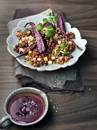 Lentil Salad with Wild Blueberry Dressing Picture