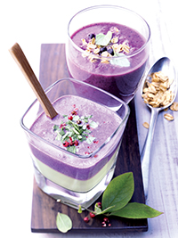 Wild Blueberry Banana Smoothie Picture