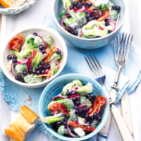 Wild Blueberry Broccoli Salad Picture