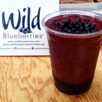 Wild Blueberry ChocoSol Picture