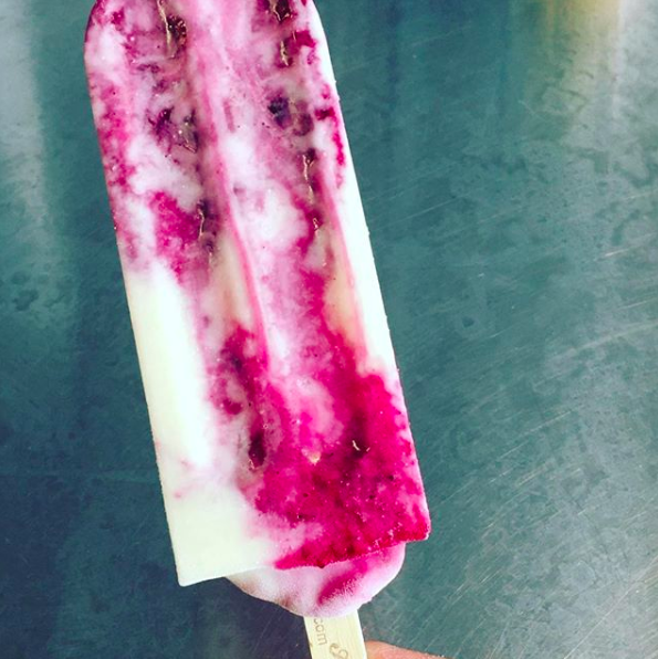 Wild Blueberry Cheesecake Ice Pop Picture