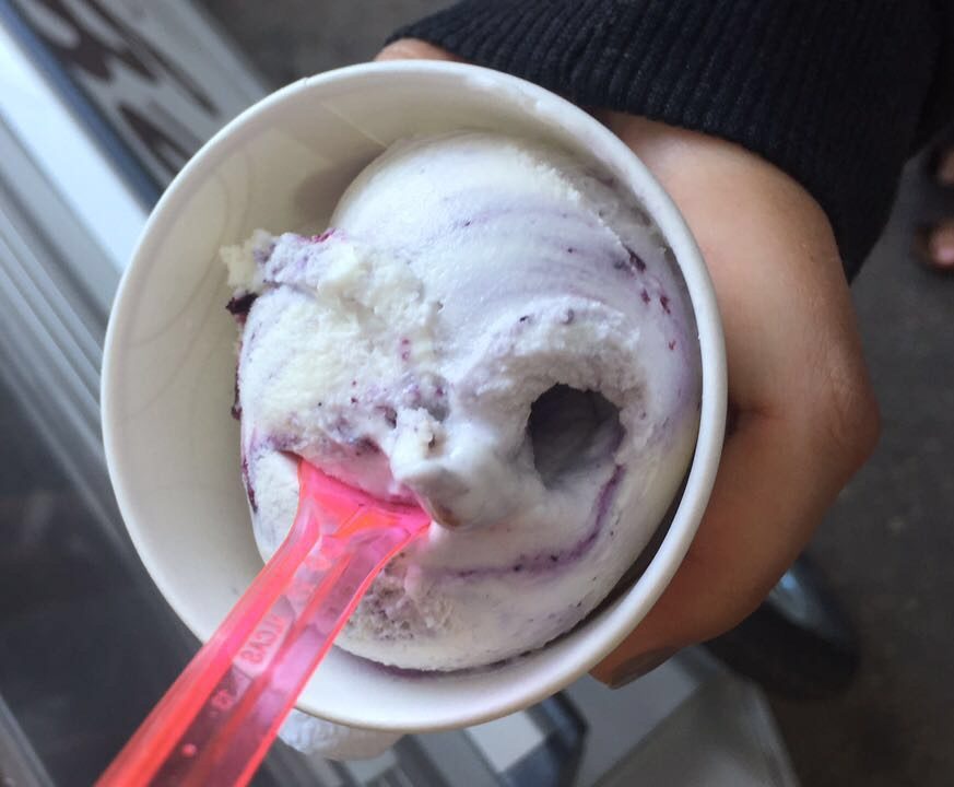 Wild Blueberry Swirl Picture