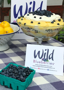 Wild Blueberry Trifle Picture