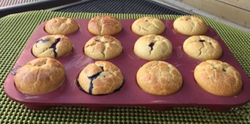 Gluten Free Wild Blueberry Kefir Muffins Picture