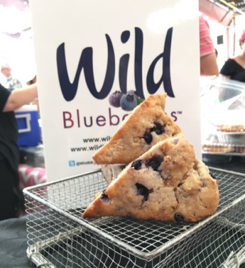 Wild Blueberry Scones Picture