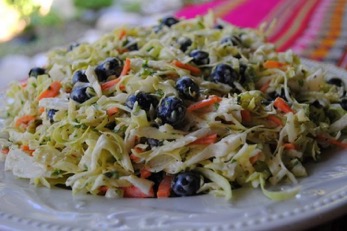 Red, White and Wild Blueberry Slaw Picture