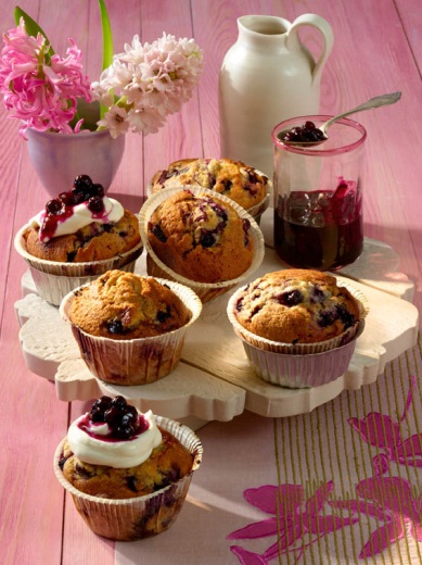 Wild Blueberry Cupcakes with  Cream Cheese and Wild Blueberry Icing Picture