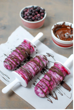 Wild Blueberry Yogurt Pops Picture