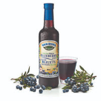 Van Dyk’s Wild Blueberry Martini Picture