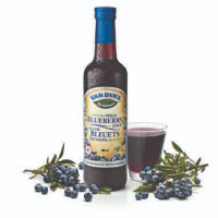 Van Dyk’s Wild Blueberry Martini Picture