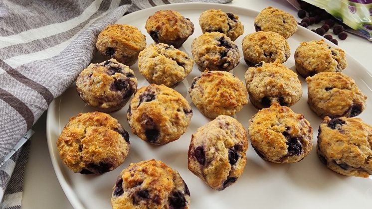 WILD BLUEBERRY MINI MUFFINS Picture